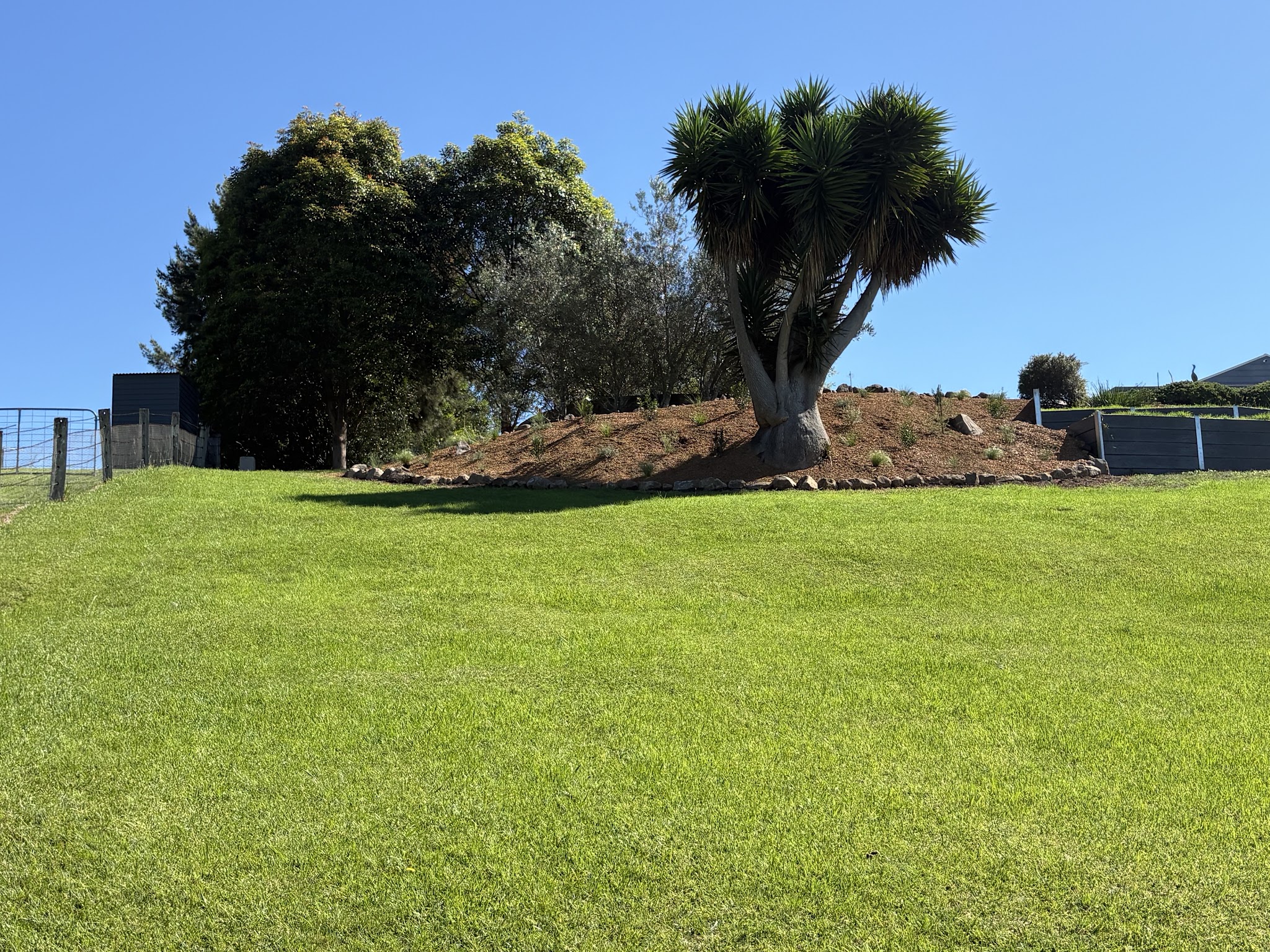 The same area finished: a wide mown lawn with a raised, freshly mulched planting bed behind it and a large established cordyline
