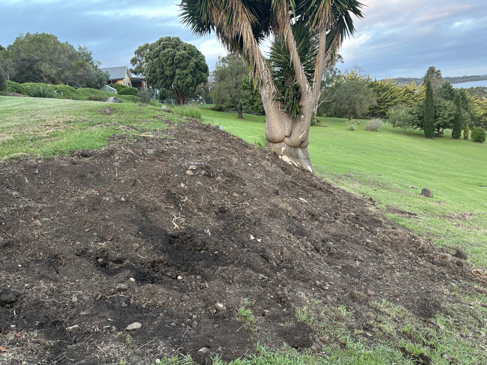 A raised mound of freshly turned bare soil beside a mown lawn, with the lake and headland visible behind