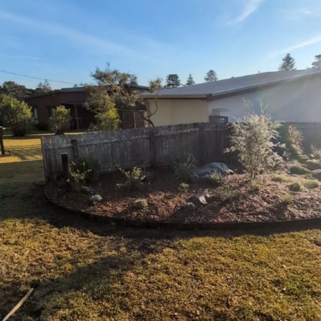 A freshly planted and mulched garden bed curving along a paling fence, edged in timber