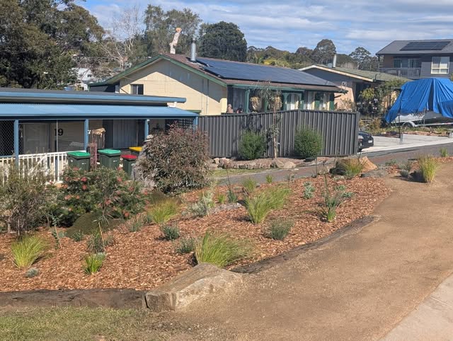 A newly planted native front garden of grasses, groundcovers and small shrubs in bark mulch beside a driveway
