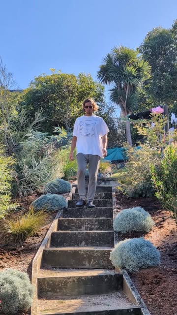 Mitch walking down stone steps through an established coastal garden of silver foliage and cordylines